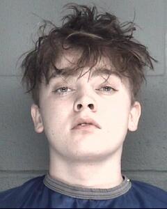 Mugshot of JENKINS, JOE FRANK