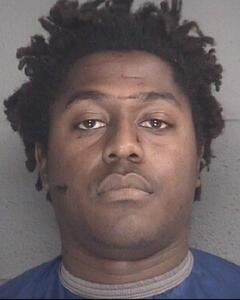 Mugshot of GOLDNER, BRISLY JACOB MEME