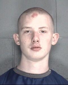 Mugshot of SHELTON, JOEY GREY