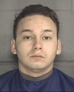 Mugshot of ROEL, RICHARD ANTHONY