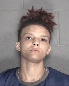 Mugshot of ELLIOT, BRANDI LEANN