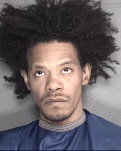 Mugshot of WILKINS, MARCUS ANTHONY